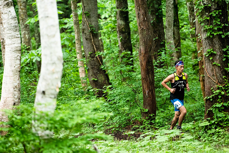 初夏の山を走ろう！　6月の人気トレイル大会