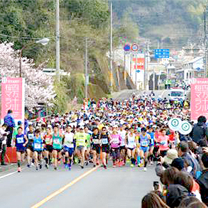 いまエントリーできる3月のフルマラソン