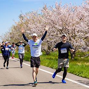 まだ間に合う！桜を楽しめるランニング大会