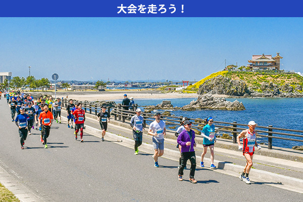 数万羽のウミネコと海岸線の絶景がお出迎え！　八戸うみねこマラソン全国大会