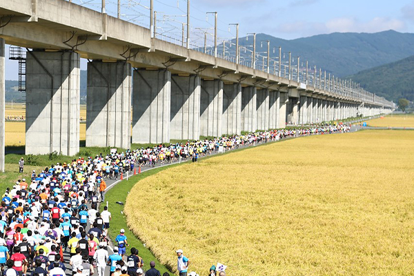 大会が開催される頃には、黄金色の稲穂が揺れる風景が見られます