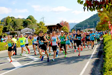 フルのためのトレーニングにも！秋を満喫できる11月のハーフマラソン