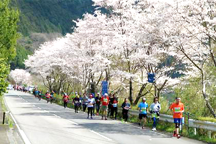 2023年12月18日～12月24日にエントリー締切となる大会