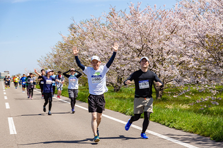 桜の名所で記録更新を狙う！「燕さくらマラソン」4月6日（土）開催