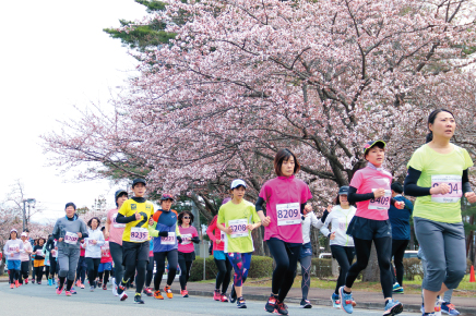 ハーフなのにフード類も豊富！レース後の温泉も楽しめる！「イーハトーブ花巻ハーフマラソン」