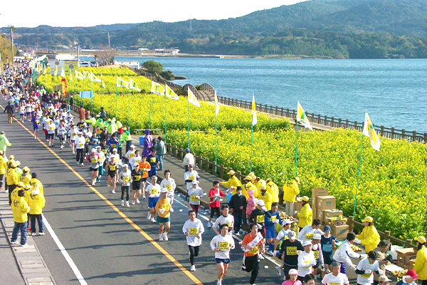 制限時間8時間！　年始は大会100撰常連の「いぶすき菜の花マラソン」で決まり！