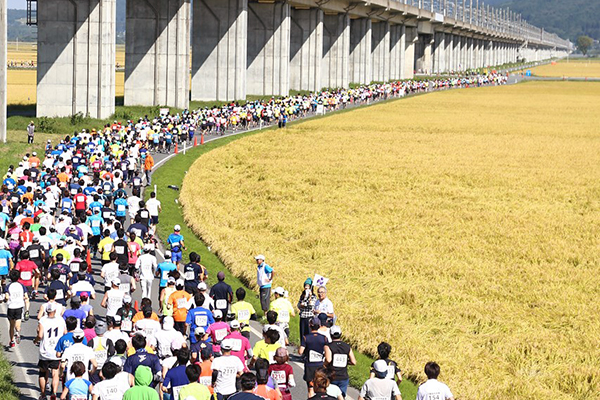 第39回一関国際ハーフマラソン