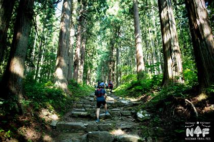 NOZAWA TRAIL FES（今年は登って下る！）