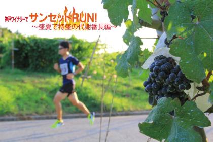 神戸ワイナリーでサンセットRUN！～盛夏で特盛の代謝番長編