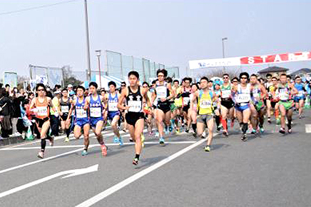 間もなくエントリー開始の大会（10/31～11/6）