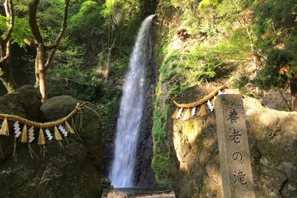 養老山地トレイルランニングレース