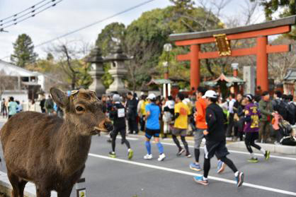 2024年6月16日（日）～6月22日（土）にエントリー開始となる大会