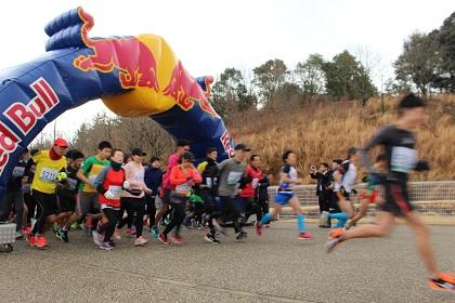 まだ間に合う2月のハーフマラソン（東日本編）