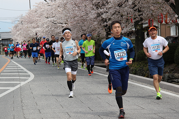 ただいま受付中！　桜の期待できる大会 vol.2