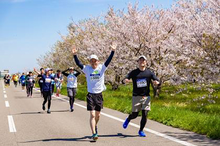 まだ間に合う！桜を楽しめるランニング大会