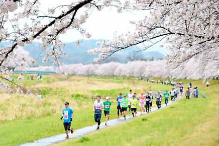 春の到来を走って実感！4月のハーフマラソン