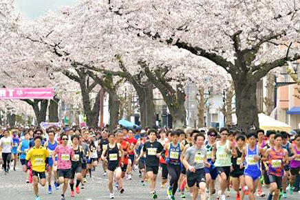 2024年2月12日～2月18日にエントリー締切となる大会