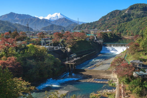 きれいな紅葉と富士山が一緒に見られるかも