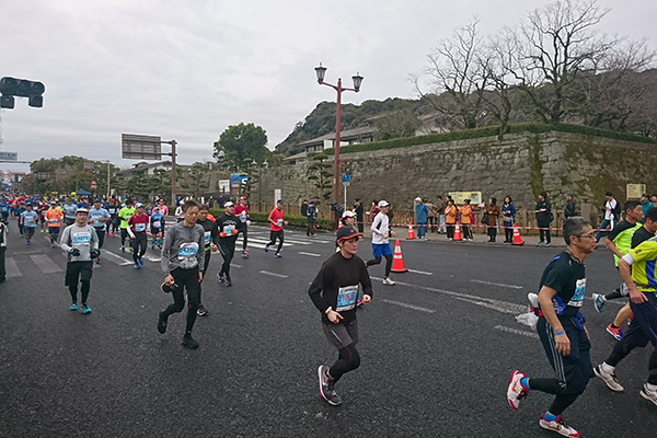 西南戦争の弾痕が残る城山公園の石垣など、維新の面影を残す鹿児島市中心部から、桜島を望む海沿いを進むコース設定