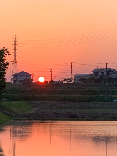 太陽また明日ね（みーぼーさん・愛知県）