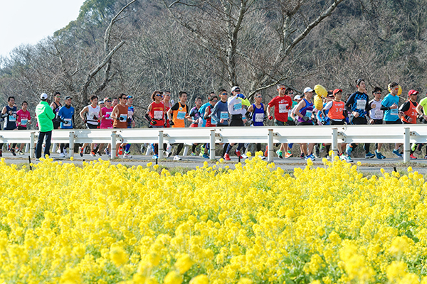 昨年開催時にはきれいに咲いた菜の花が目を楽しませてくれた