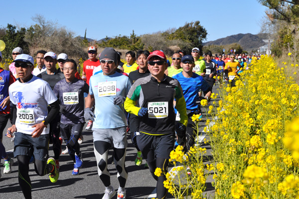 温暖な南房総の海岸線は1月にして春が楽しめる