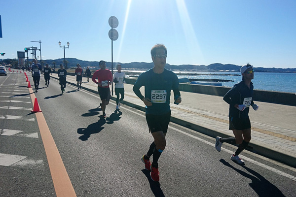 菜の花が咲き誇る南房総で館山若潮マラソン開催