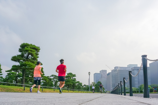 1周5kmの皇居は四季折々の自然を感じることができます