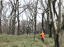 公園の中とは思えないほど自然の雰囲気のトレイルも発見。山を走る感覚がよみがえってくる