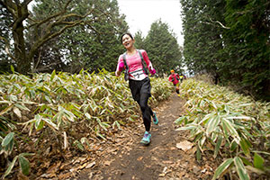 東京とは思えないくらい人が少ない走りやすいコースに出会える！