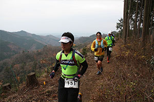 日当たりのいい広葉樹林帯、杉並木、見晴らしのよい尾根とコースは変化に富む