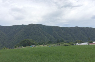 見晴らしのよい所では丹沢の山々の美しさを楽しめる