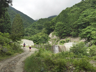 平坦な林道でも足元に気をつけて走るべし！