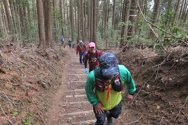 階段の多さはこのコースの特徴！