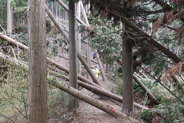 昨年の台風被害は大きかったものの、前日までの関係者の努力で無事レースが行われました