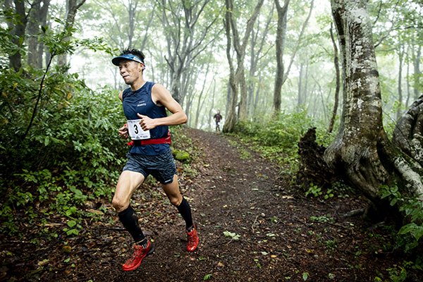 【トレラン・レースリポート】Madarao Forest Trails 50km 　斑尾高原トレイルランニングレース2019