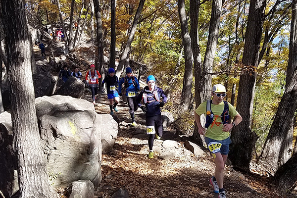 【トレラン・レースリポート】こうふ開府500年記念事業第11回武田の杜トレイルランニングレース