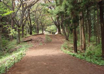 日本一植生の多い山、高尾山