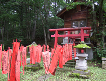 天命稲荷は小さいが、神秘的な雰囲気を醸し出す