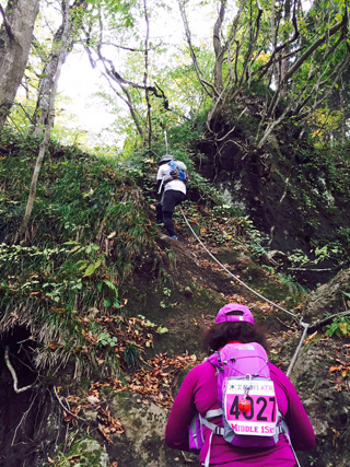 本格的な登山道が始まる。場所によってはこんな所も